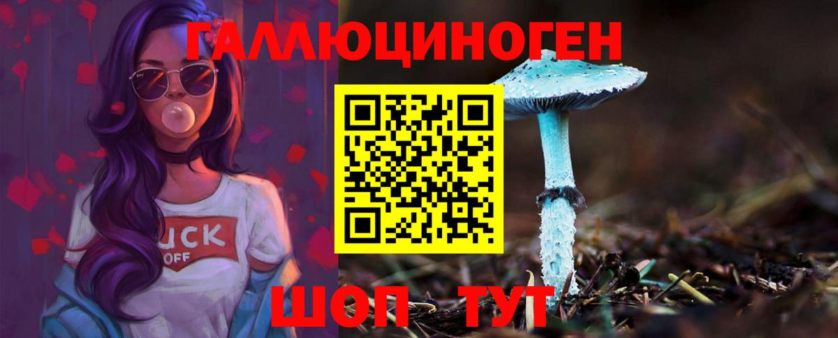 Галлюциногенные грибы Cubensis  Вход с VPN  Волхов 